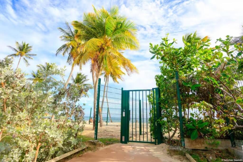 Paradis Studio & Plage A 1 Min Le Gosier  Exteriör bild